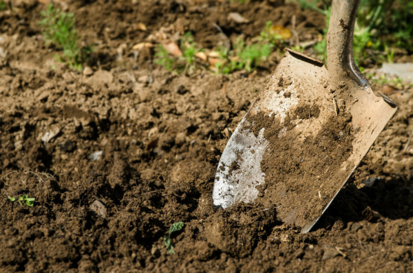 shovel-in-the-ground