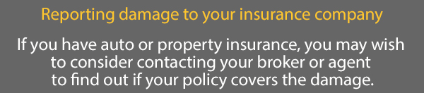 insurance