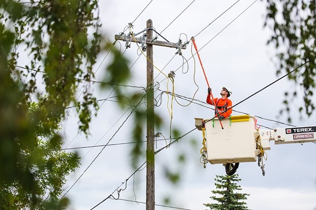 bucket truck tree