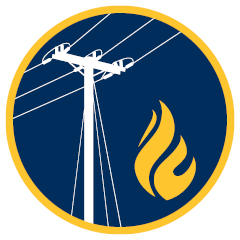 PSPS Lead Graph Icon