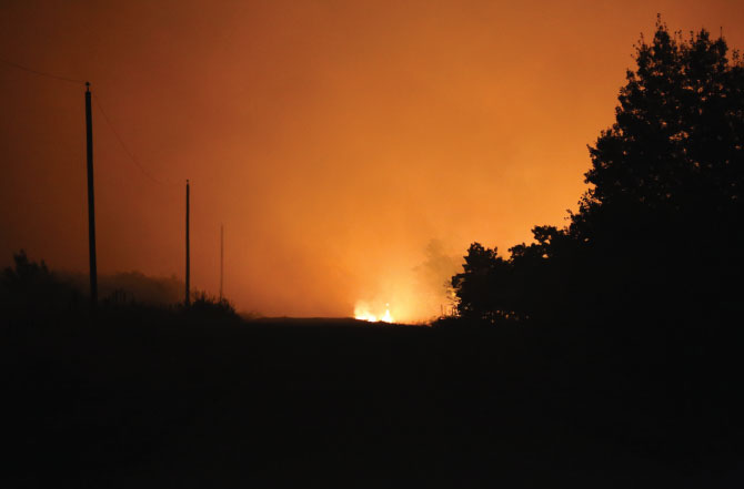 Wildfire-blog-image