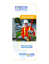 Electrical Safety Work